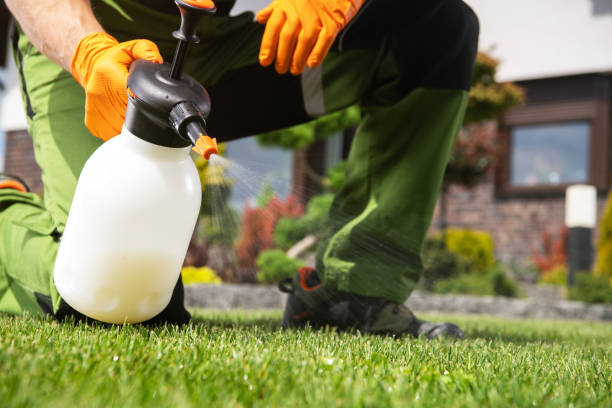 Best Best Pest Control Companies  in Connell, WA