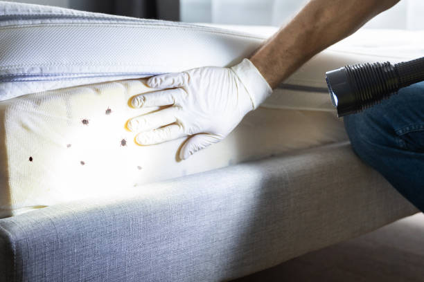 Best Pest Prevention Services  in Connell, WA
