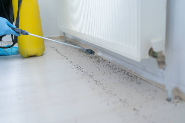 Best Emergency Pest Control  in Connell, WA